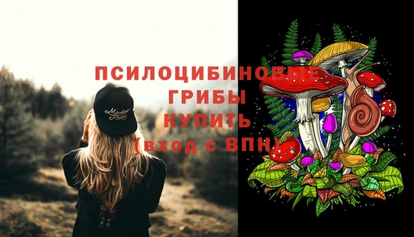 гидропоника Алзамай