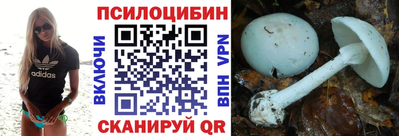 Галлюциногенные грибы Psilocybe  Аша 