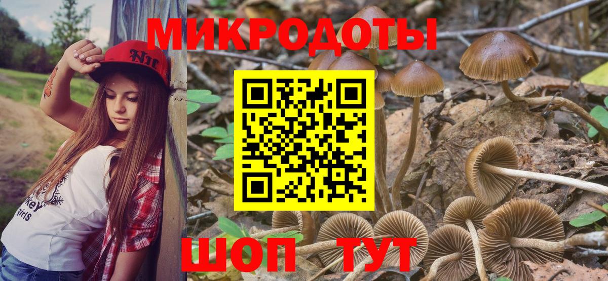 купить   Вход с VPN  Аша  Галлюциногенные грибы Magic Shrooms 