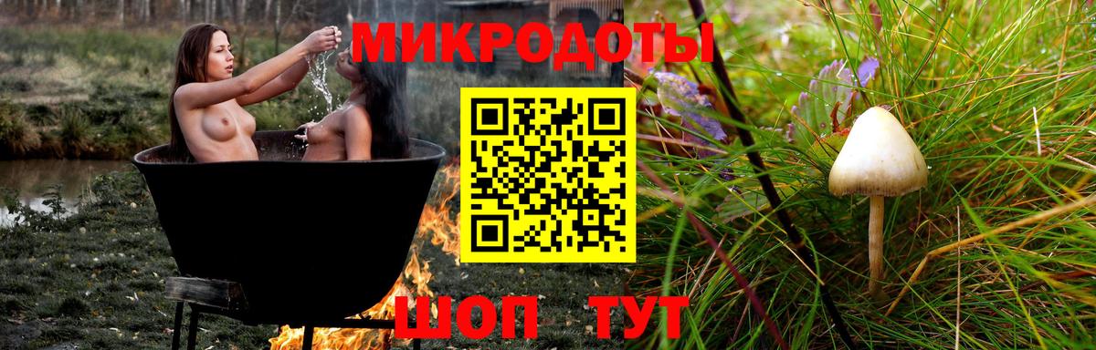 Псилоцибиновые грибы Cubensis Аша